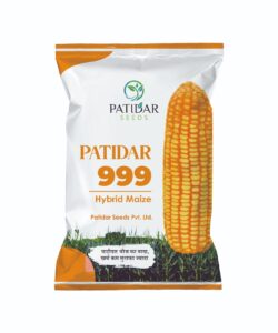  PATIDAR-999