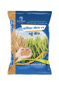 PATIDAR GOLD-44 WHEAT