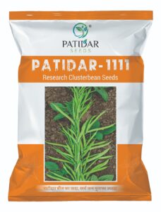 PATIDAR 1111 RES. CLUSTERBEAN