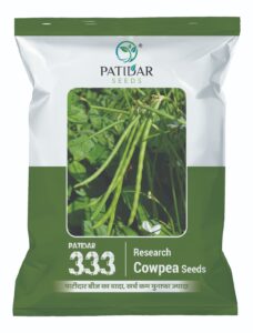 PATIDAR 333 RES. COWPEA